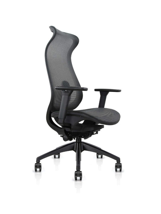 Chaise de Bureau Ergonomique | LINEO