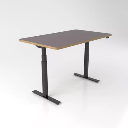 LINEA | Bureau Assis Debout Électrique