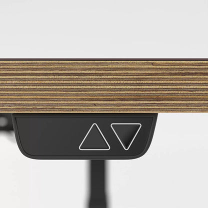 LINEA | Bureau Assis Debout Électrique