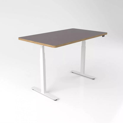 LINEA | Bureau Assis Debout Électrique
