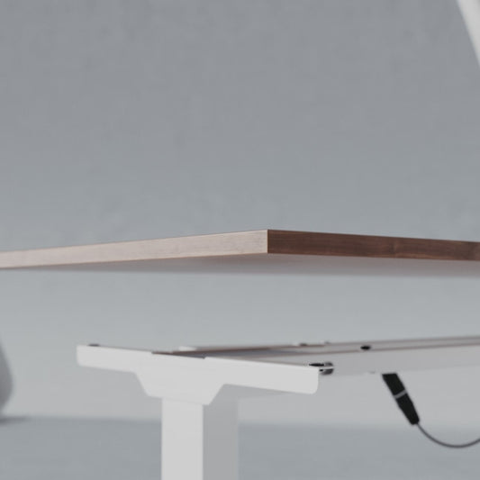 MOVE PRO | Bureau Assis Debout Électrique